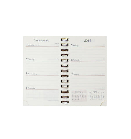 Large Functional Agenda Refill SANS LIGNE ESTHETIQUE - Books and Stationery